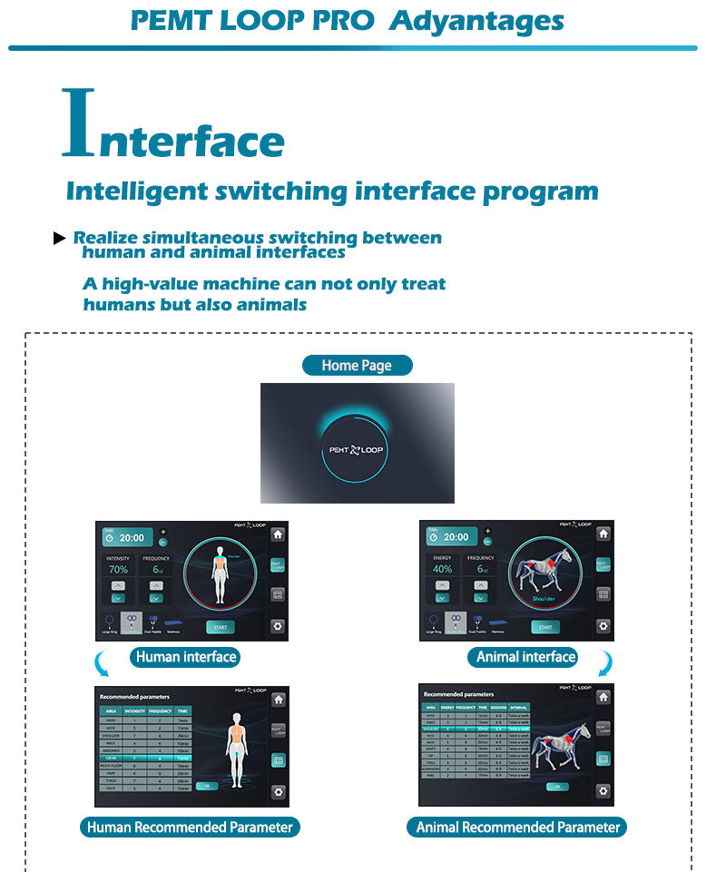 Physio Magneto 2 in 1 PEMF LOOP Magnetotherapy Machine Pulse Magnetic Machine With Horse Use Interface System