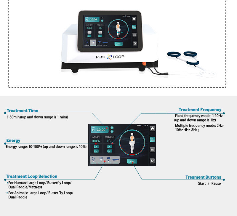 Physio Magneto 2 in 1 PEMF LOOP Magnetotherapy Machine Pulse Magnetic Machine With Horse Use Interface System