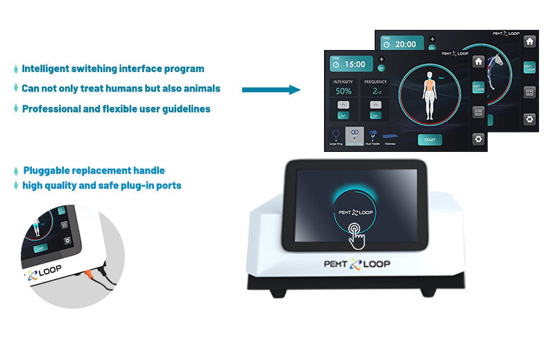Physio Magneto 2 in 1 PEMF LOOP Magnetotherapy Machine Pulse Magnetic Machine With Horse Use Interface System