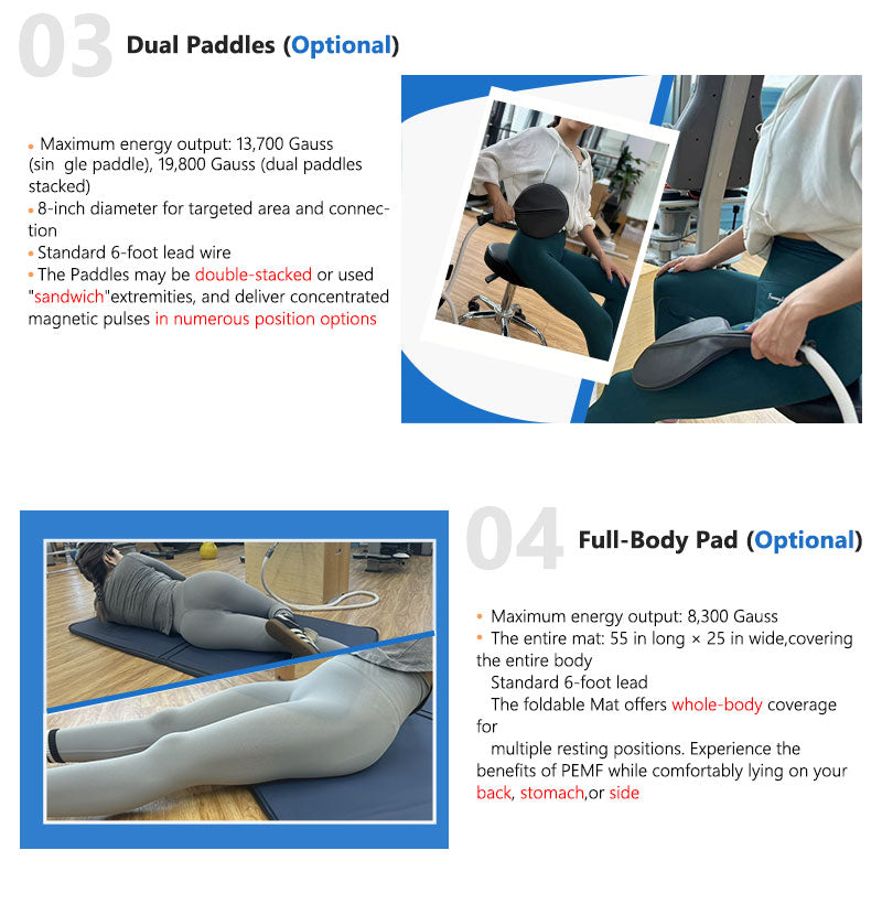 Physio Magneto 2 in 1 PEMF LOOP Magnetotherapy Machine Pulse Magnetic Machine With Horse Use Interface System