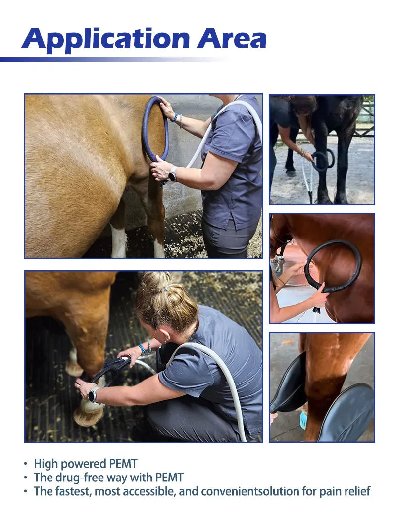 Veterinary Instrument PEMT Loop Magnetic Physiotherapy Device for Horse and Dog Orthopedic PEMF by Vet