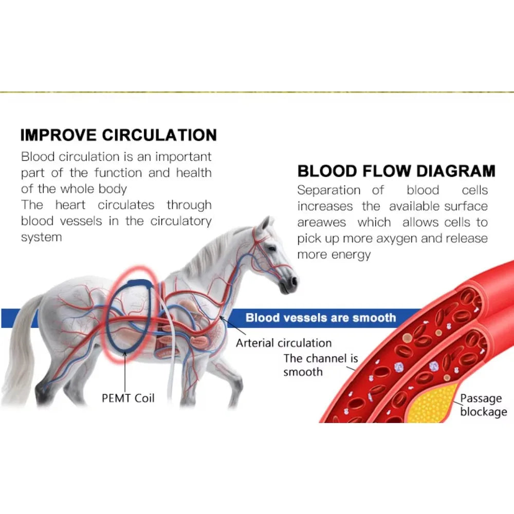 Horse Health Care Veterinary Instrument PEMT PEMF LOOP Magneto Technology for Pain Relief and Bones Repair