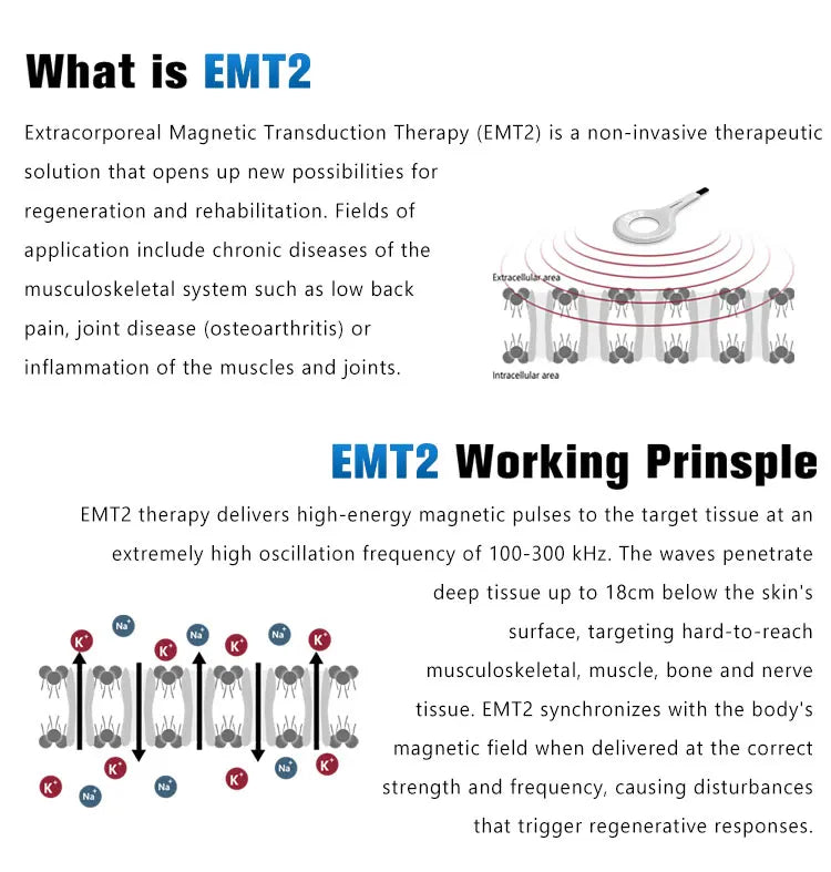Magneto Physical Therapy Pulsed Electro Magnetic Field Super Transduction  Pulsed Electromagnetic Field Therapy Equipment
