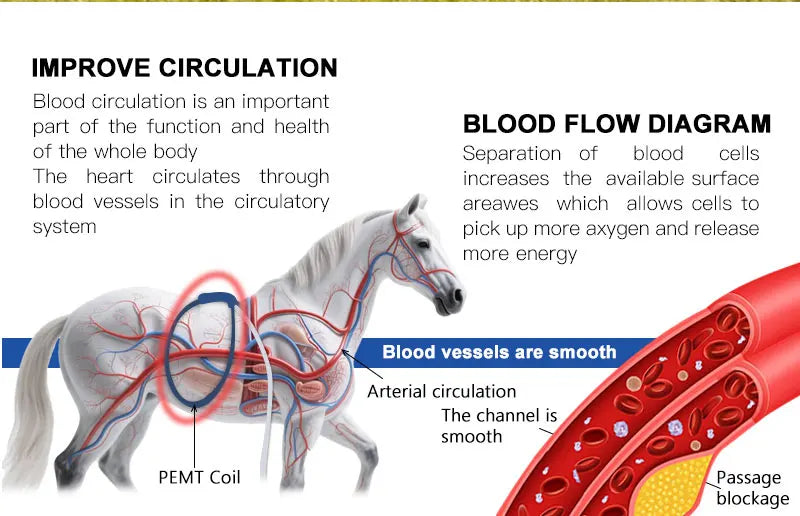 Veterinary Instrument PEMT Loop Magnetic Physiotherapy Device for Horse and Dog Orthopedic PEMF by Vet