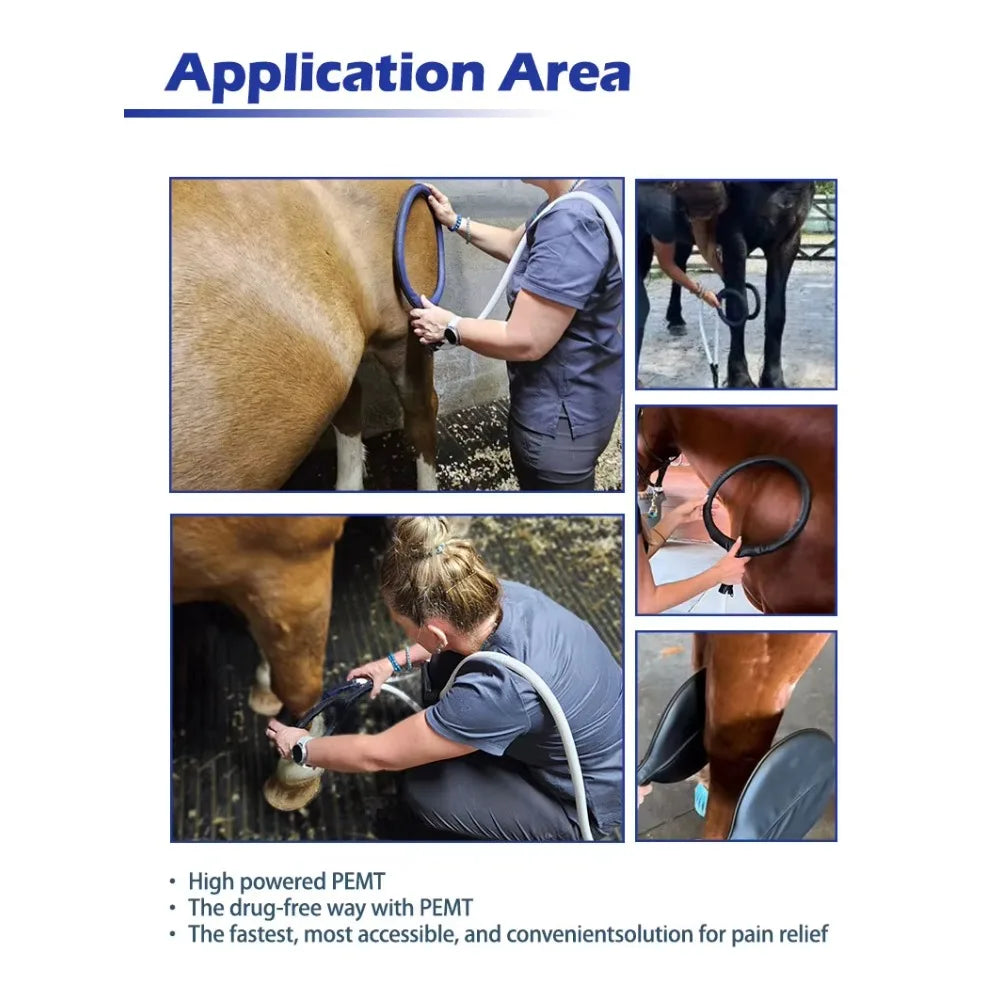Horse Health Care Veterinary Instrument PEMT PEMF LOOP Magneto Technology for Pain Relief and Bones Repair