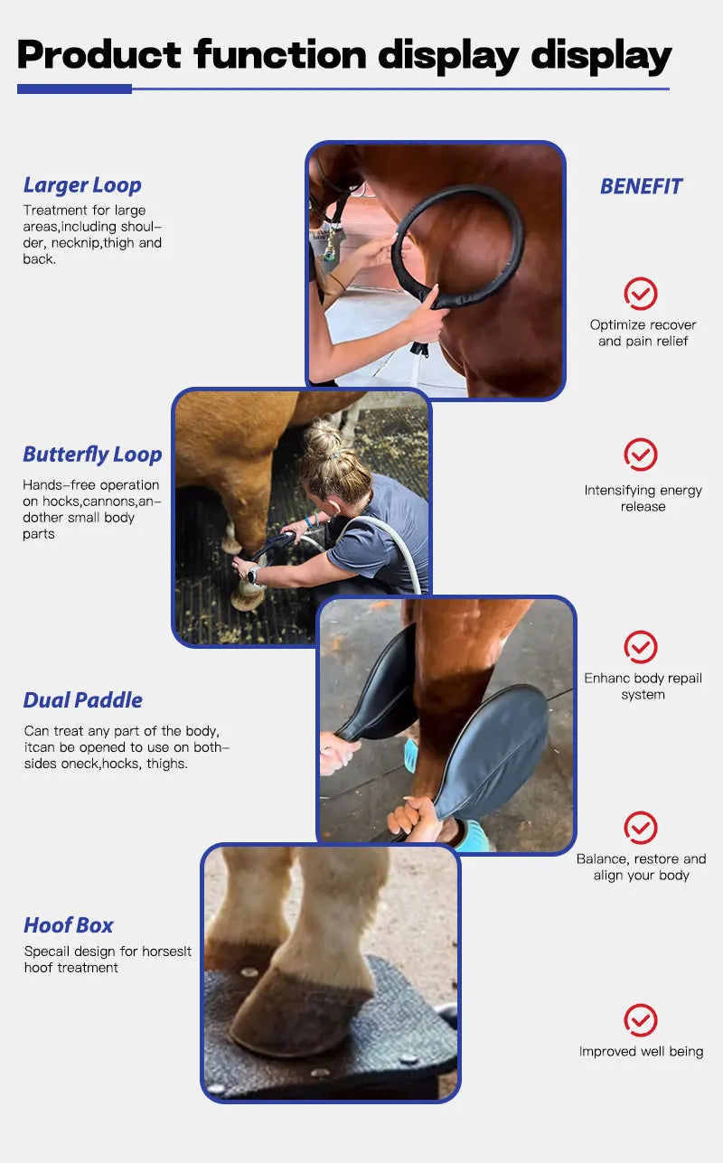Horse Health Care Veterinary Instrument PEMT PEMF LOOP Magneto Technology for Pain Relief and Bones Repair
