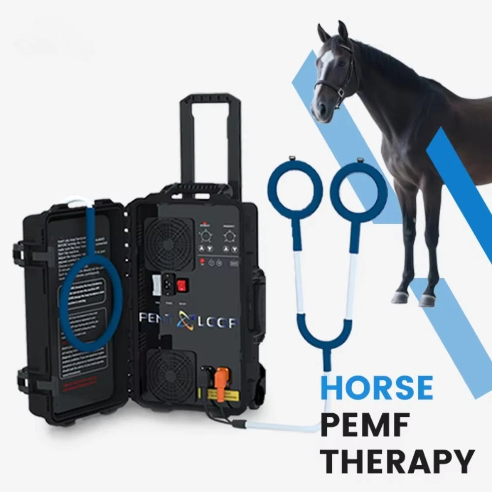 Veterinary Instrument PEMT Loop Magnetic Physiotherapy Device for Horse and Dog Orthopedic PEMF by Vet