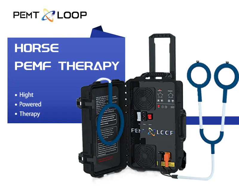 Veterinary Instrument PEMT Loop Magnetic Physiotherapy Device for Horse and Dog Orthopedic PEMF by Vet