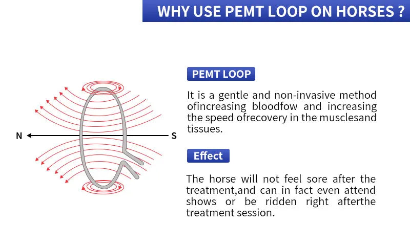 Horse Health Care Veterinary Instrument PEMT PEMF LOOP Magneto Technology for Pain Relief and Bones Repair