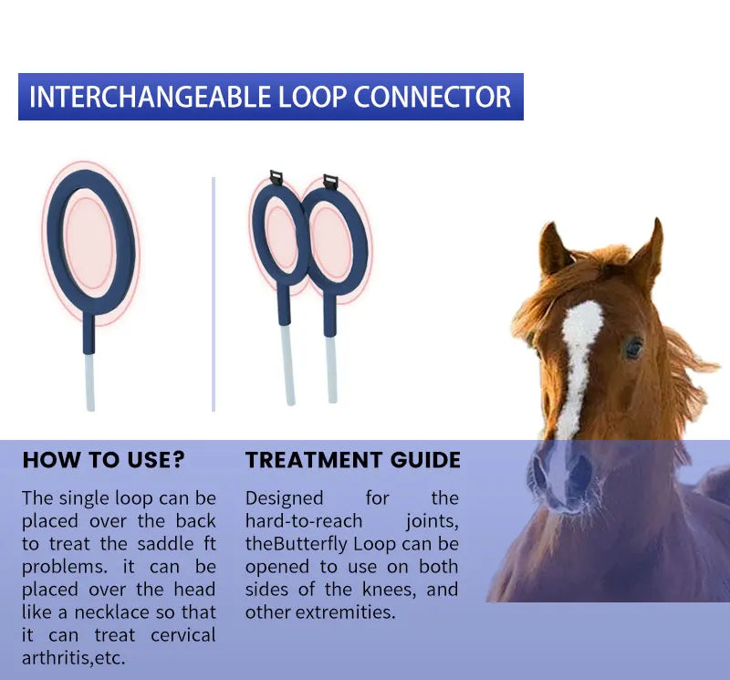 Veterinary Instrument PEMT Loop Magnetic Physiotherapy Device for Horse and Dog Orthopedic PEMF by Vet
