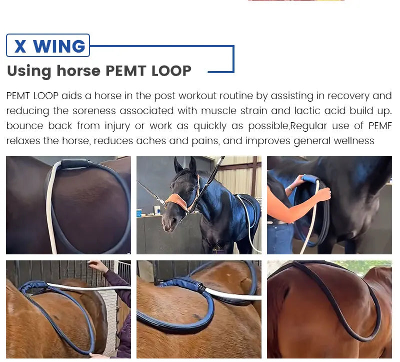 Veterinary Instrument PEMT Loop Magnetic Physiotherapy Device for Horse and Dog Orthopedic PEMF by Vet